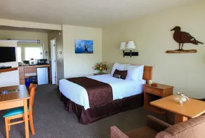 Fireside Motel - Chambre