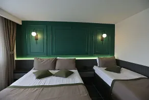 Ren Business Hotel - Room