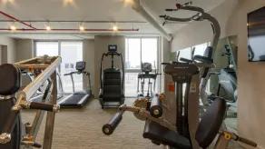 Pelicanstay in Coconut Grove Miami - Gym