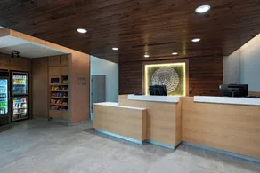 Fairfield by Marriott Inn & Suites Fort Worth Alliance Airport - Réception