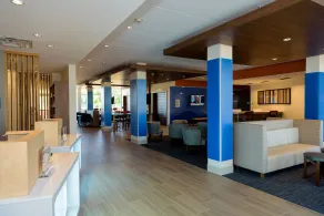 Holiday Inn Express & Suites McKinney - Frisco East by IHG - Réception