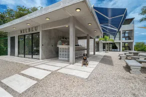 NELBLU FLAMINGO SUITES - Reception