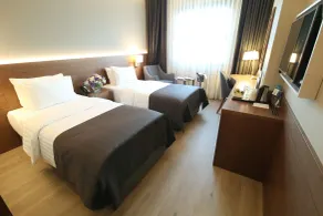 Holiday Inn Bursa - City Centre by IHG - Vistas desde la habitación