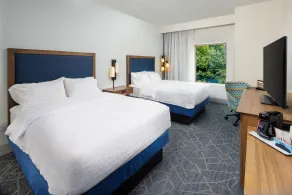 Hampton Inn & Suites Asheville Biltmore Village - Rum