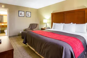Comfort Inn Cleveland Downtown - Chambre