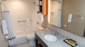 Radisson Hotel St Paul Downtown - Bathroom