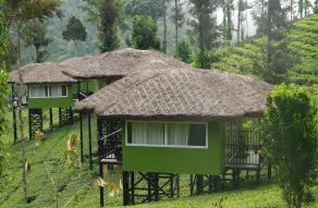Wild Planet Jungle Resort - Chambre