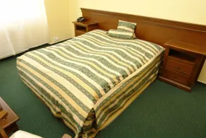 Hotel Bila Ruze - Chambre