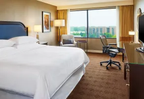 Sheraton Lisle Naperville Hotel - Chambre