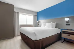 Comfort Inn & Suites Crystal Inn Sportsplex - Chambre