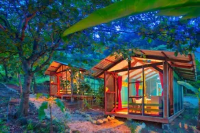 Jungles Edge Hotel, Jiu Jitsu, Muay Thai Retreat Center - Chambre