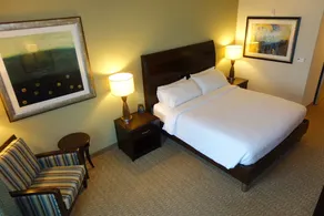 Hilton Garden Inn Houston-Pearland - Room