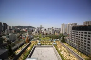 Seoul N Hotel Dongdaemun - Vista dalla camera