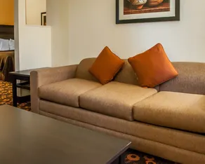 Econo Lodge Inn & Suites Santa Fe South - Chambre