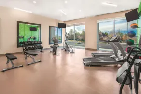 La Quinta Inn & Suites by Wyndham Cleveland near Lee Univ - Salle de remise en forme