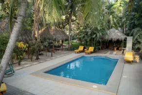 Villas Pura Vibra - Pool