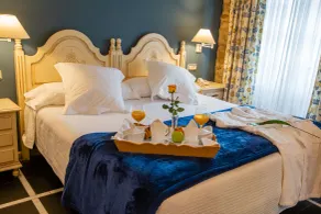 Hotel Palacio De La Viñona - Chambre
