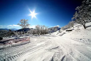 Yuzawa Ski House - Sne- og skisport