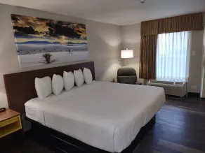 Days Inn by Wyndham Port Charlotte Town Center - Chambre