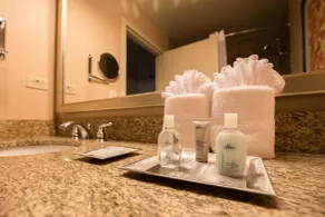 Wyndham Chicago O'Hare - Salle de bain
