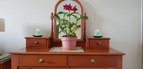 Hay Point Country B&B - Room
