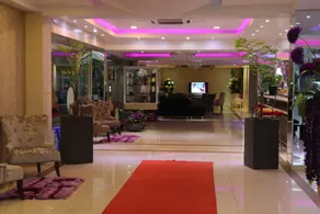 Luxsur - Reception