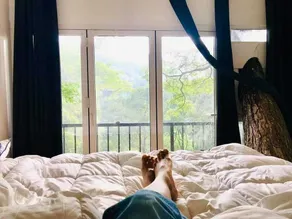 Tree Nature Resort - Room