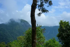 Silver Oak Resort Wayanad - View from room