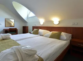 Spa Resort Libverda - Hotel Panorama - Camera