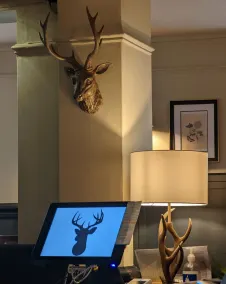 The Buck Hotel - Restaurant