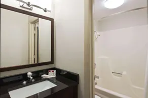 Ramada by Wyndham Boston - Salle de bain