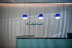 Arkadi Hotel - Réception