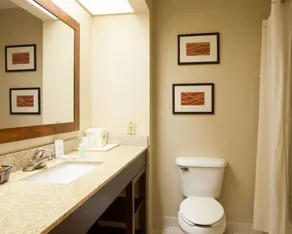 Quality Inn & Suites I-40 East - Salle de bain