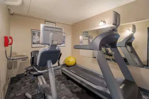 Econo Lodge Duluth near Miller Hill Mall - Salle de remise en forme