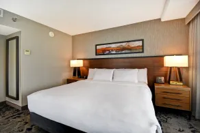 Embassy Suites by Hilton Omaha Downtown Old Market - Chambre