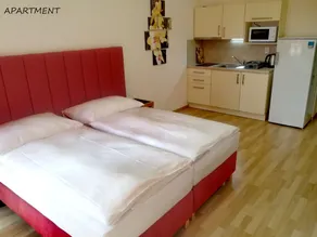 Hotel Otakar - Room