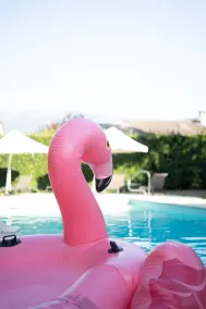 PoMo Hôtel & Restaurant - Pool