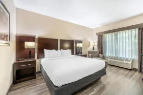 Best Western Plus Eastgate Inn & Suites - Room