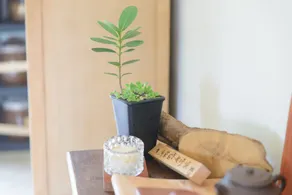 白沙35 kenting Baisha 35 - Lobby
