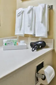 Sweetwater Lodge - Rock Springs - Green River - Salle de bain