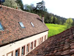 Maison d'hôtes La Paulusmühle Ancien moulin en pleine nature - Udsigt fra værelset