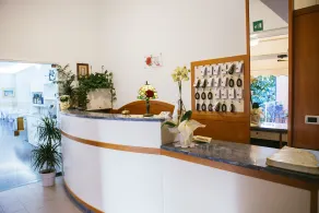 Hotel Delle Rose - Reception