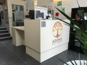 Adonis Hotel Strasbourg - Réception