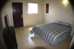 International Casa - Room