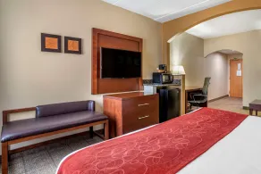 Comfort Suites Hagerstown Southeast - Chambre