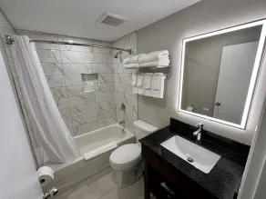 Econo Lodge Inn & Suites - Salle de bain