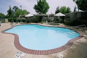 Holiday Inn Selma - Swancourt by IHG - Pool