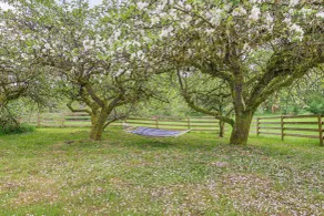 Great for Families! Peaceful Snohomish Escape! - Interior
