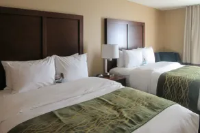 Comfort Inn & Suites - Harrisburg Airport - Hershey South - Chambre