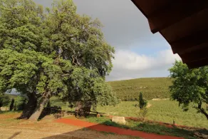 Finca Heredad La Boquilla - Vistas desde la habitación